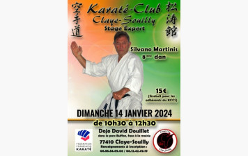 STAGE SYLVAIN MARTINIS 8ème DAN